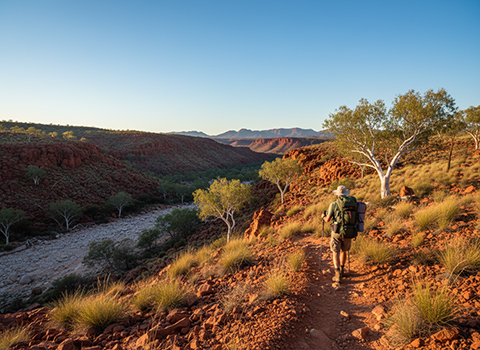 Larapinta Trail